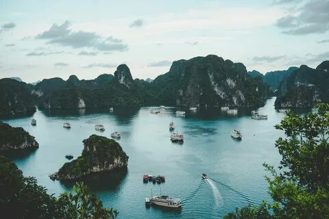 Sự Bùng Nổ Của Video Ngắn và Trí Tuệ Nhân Tạo: Vai Trò Thiết Yếu Của Đào Tạo Kỹ Năng Sáng Tạo Nội Dung